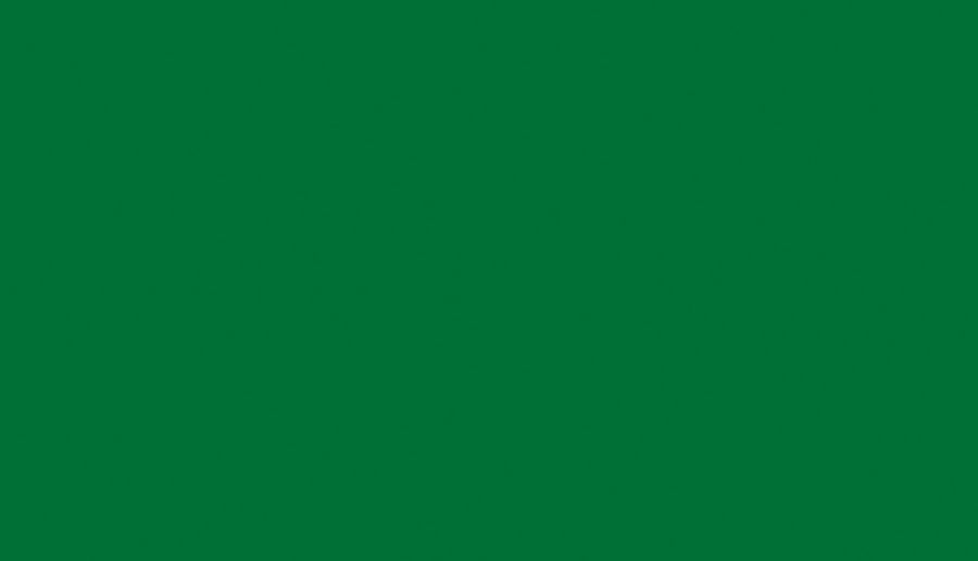 LTD 9561 oxide green 18/2800x2070 BS (expres program)