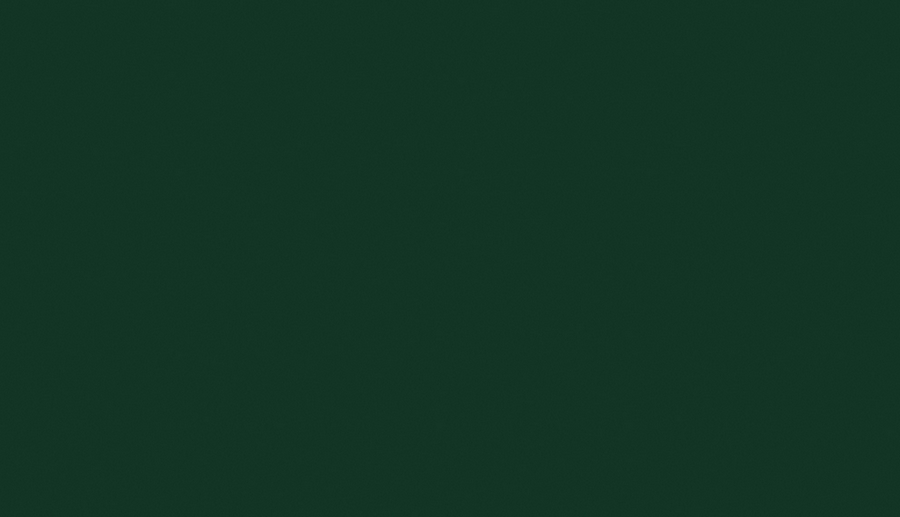 LTD U606 Lesní zelená 18/2800x2070 ST9 KOLEKCE 24+   - výrobní program EDC