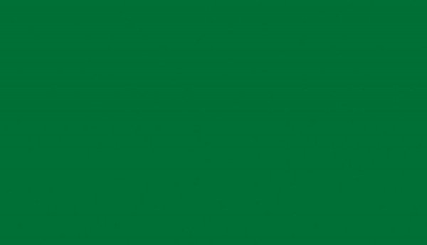 LTD 9561 oxide green 18/2800x2070 BS (expres program)