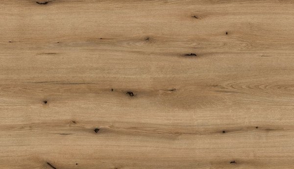 LTD K365 coast evoke oak 18/2800x2070 PW  TRENDS 20/21