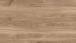 LTD K358 honey castello oak 18/2800x2070 PW  KOLEKCE TRENDS 20/21